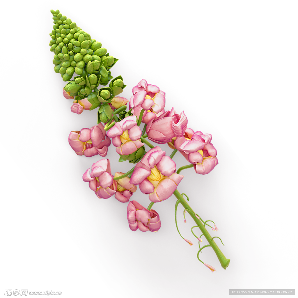 鲜花素材