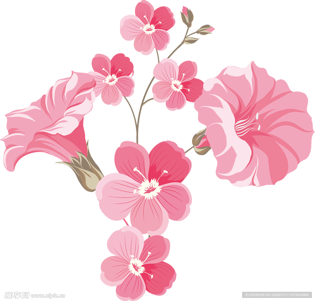鲜花素材
