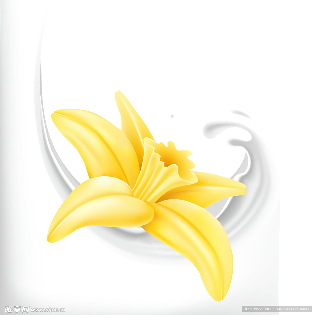 鲜花素材