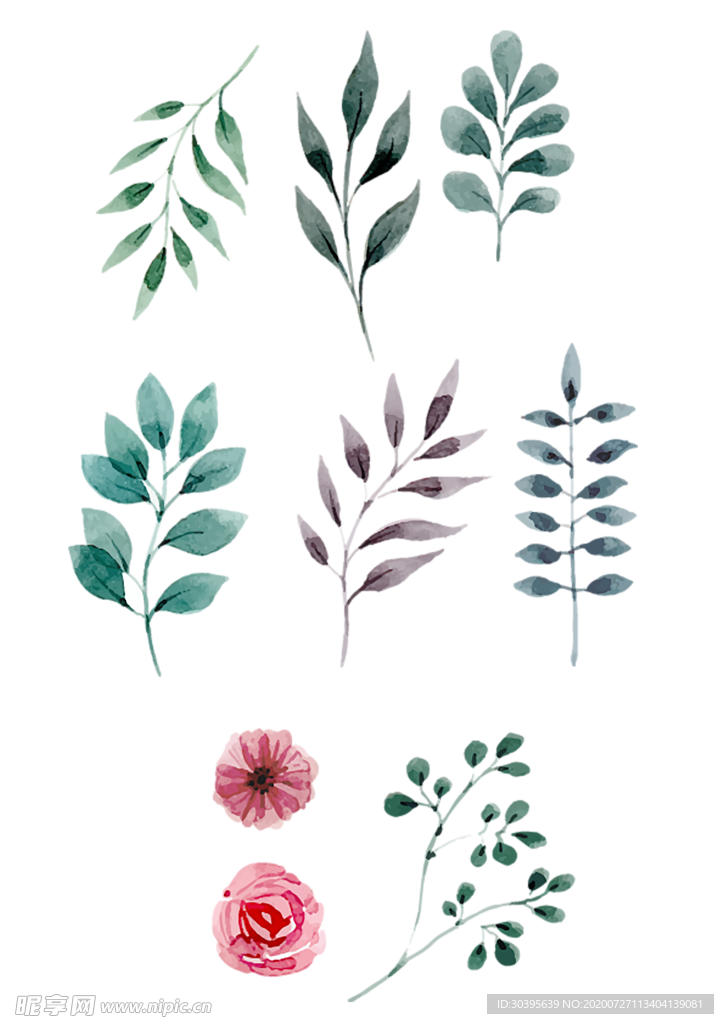 鲜花素材
