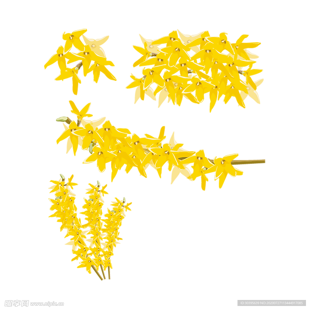 鲜花素材