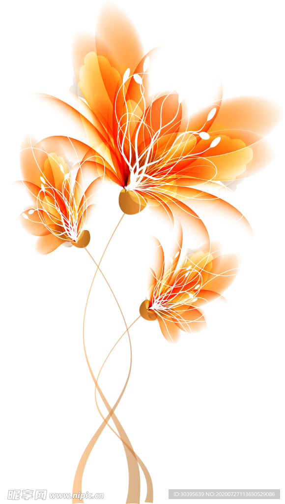 鲜花素材