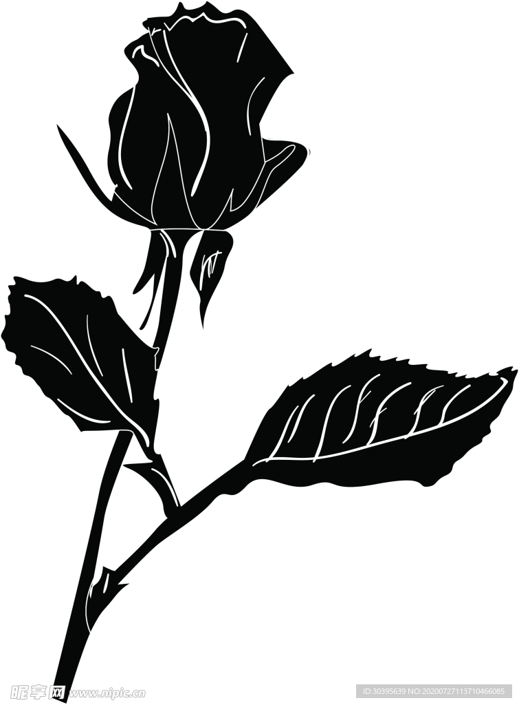鲜花素材