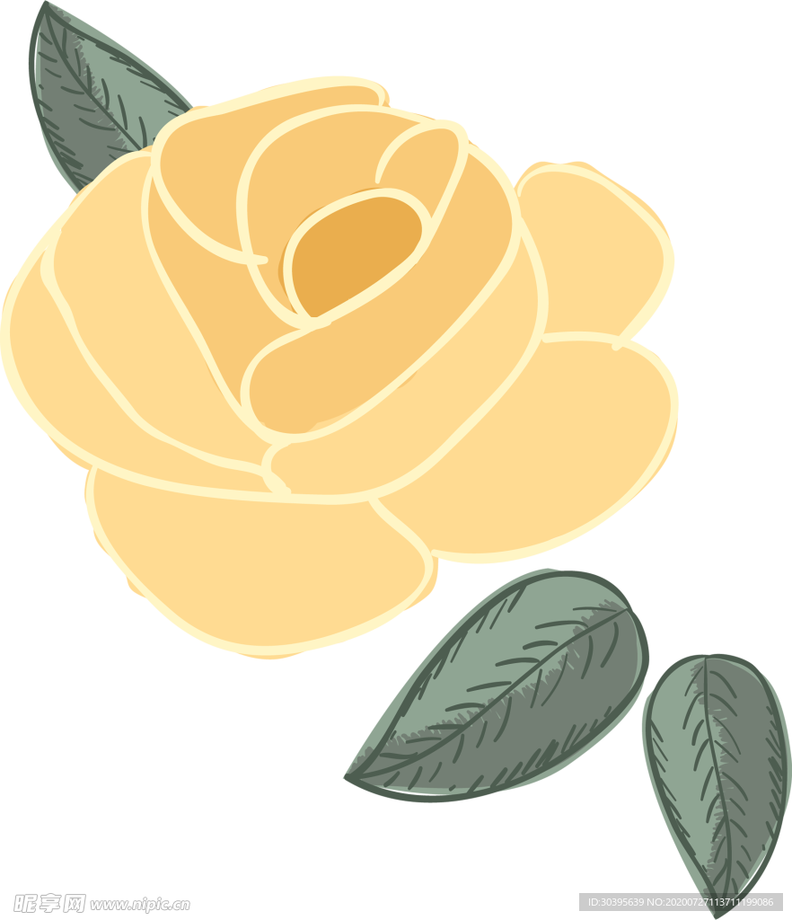 鲜花素材