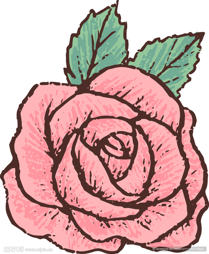 鲜花素材