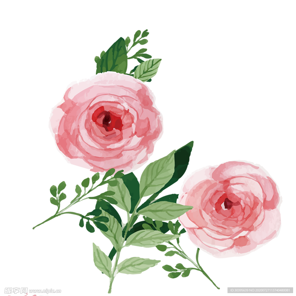 鲜花素材