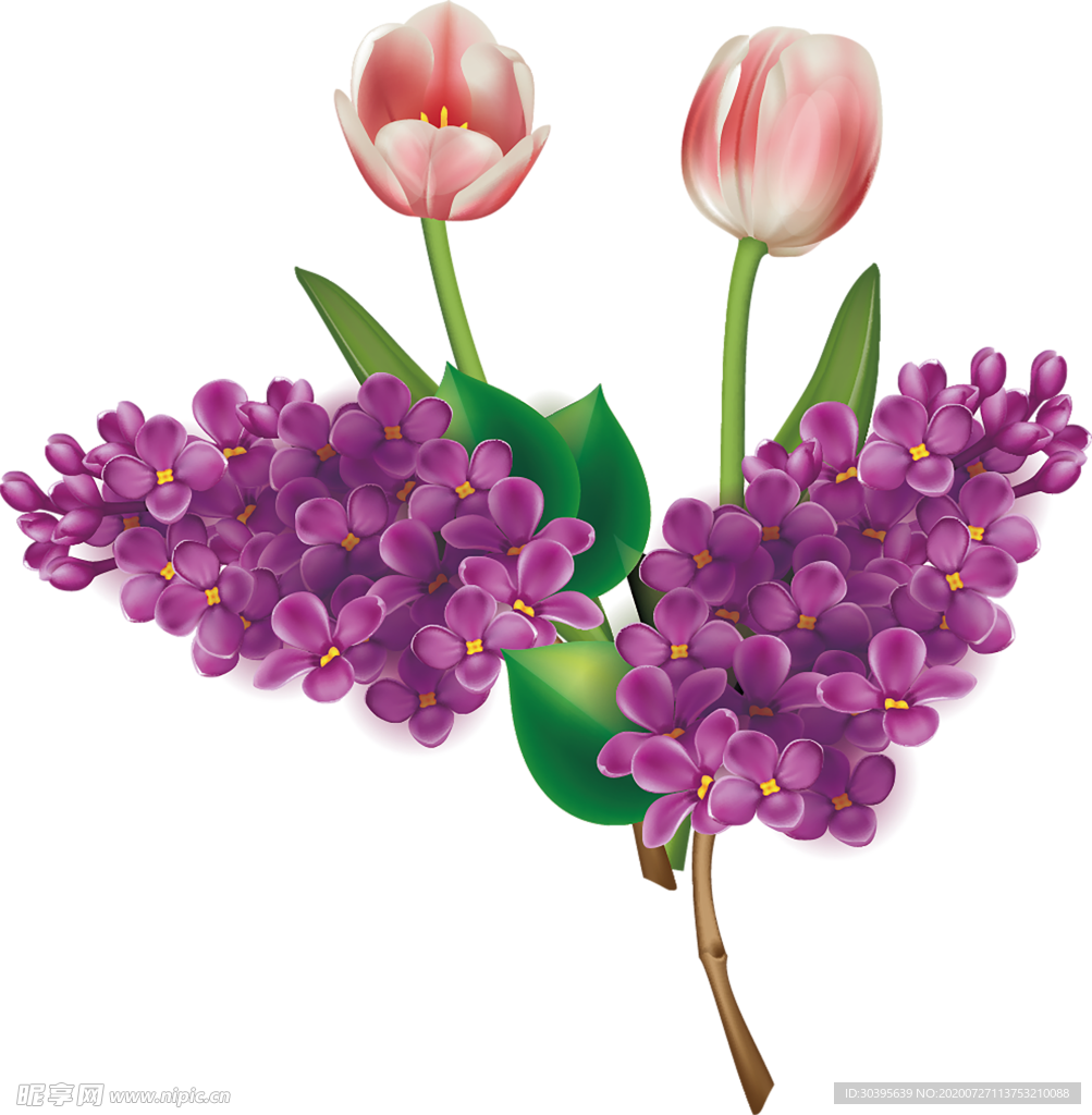 鲜花素材