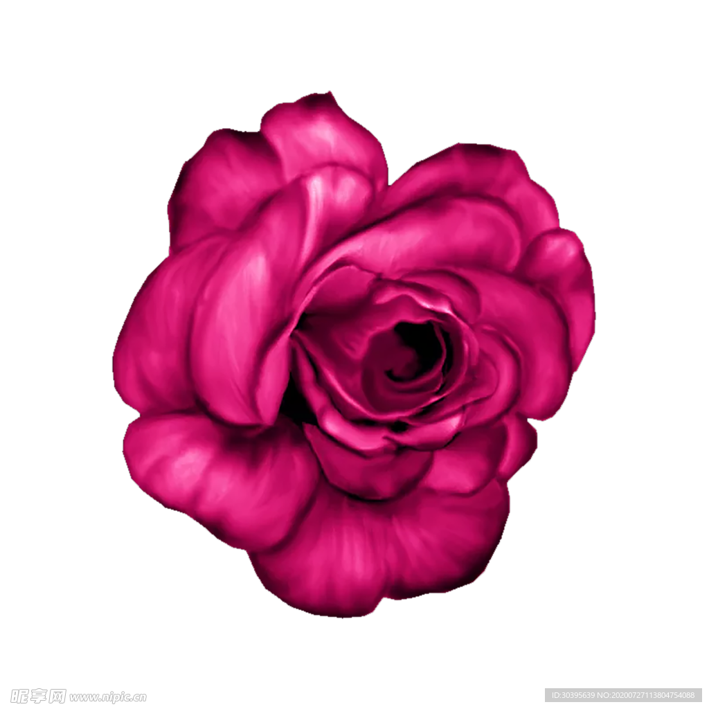 鲜花素材