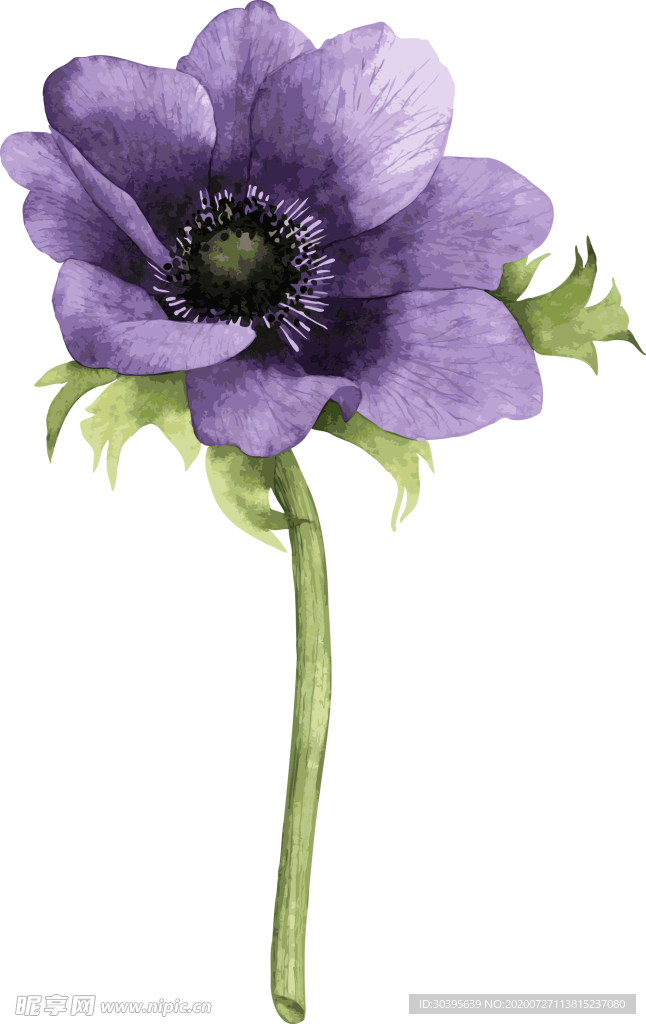 鲜花素材