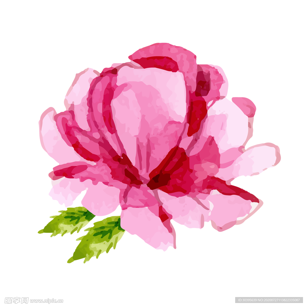 鲜花素材