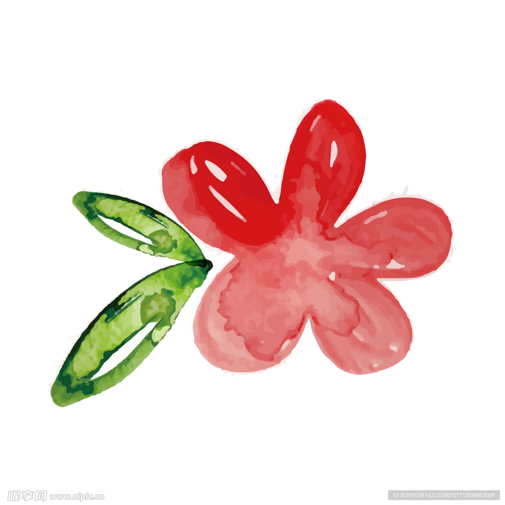 鲜花素材