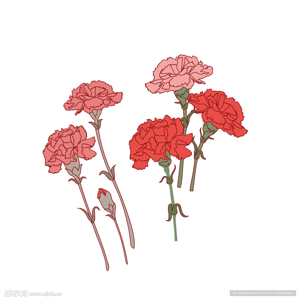鲜花素材