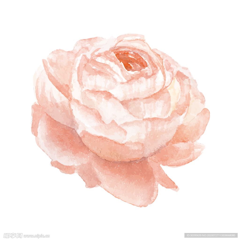 鲜花素材