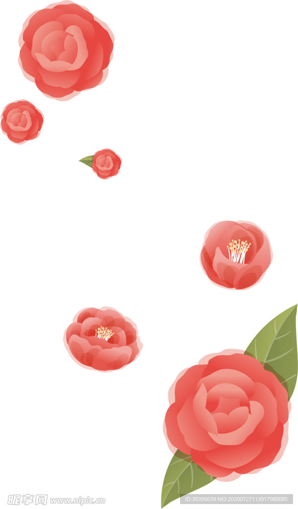 鲜花素材
