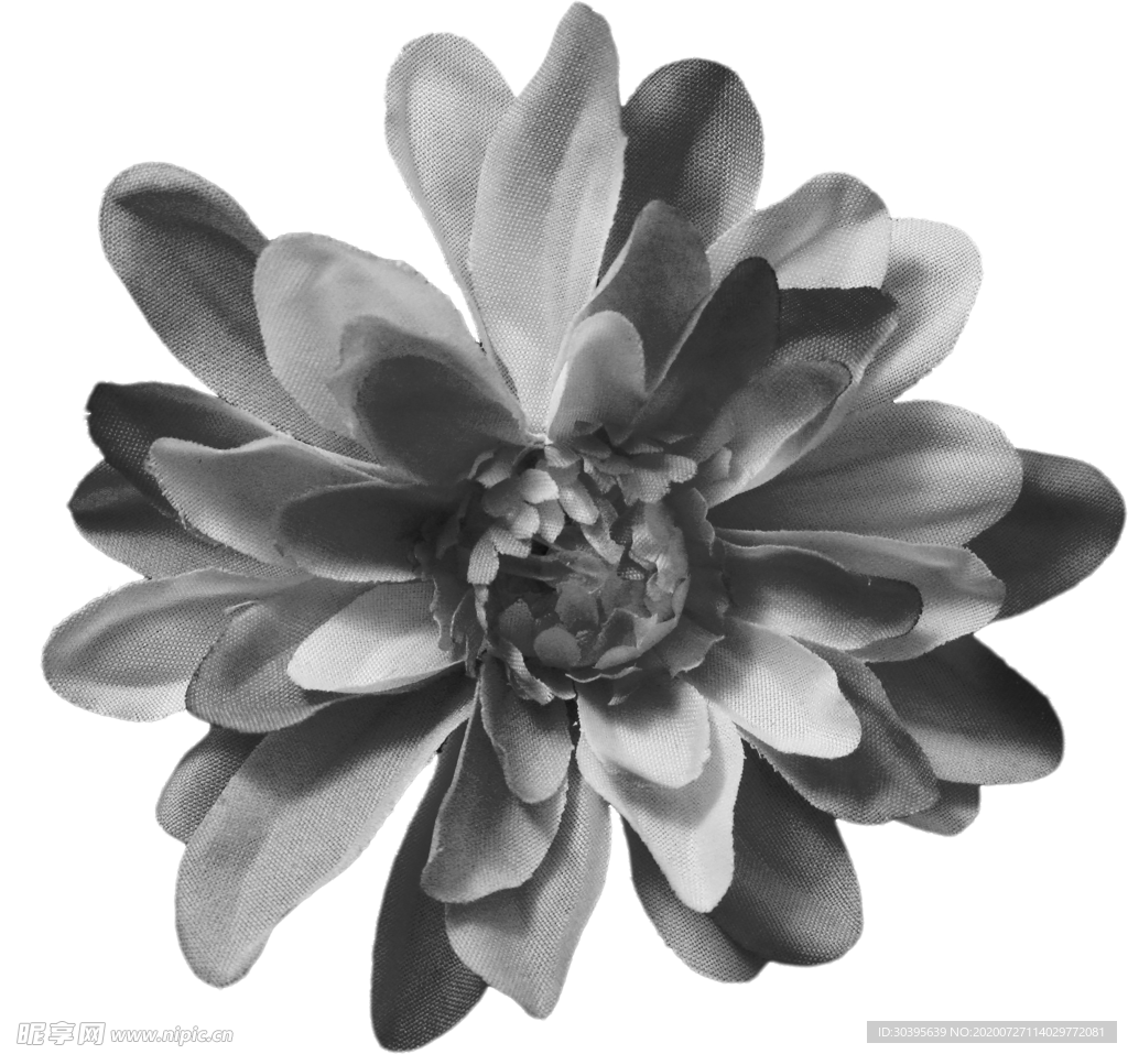 鲜花素材