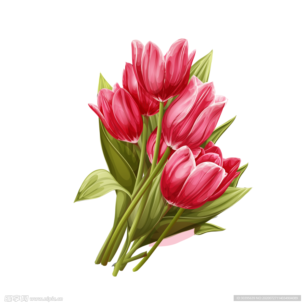 鲜花素材