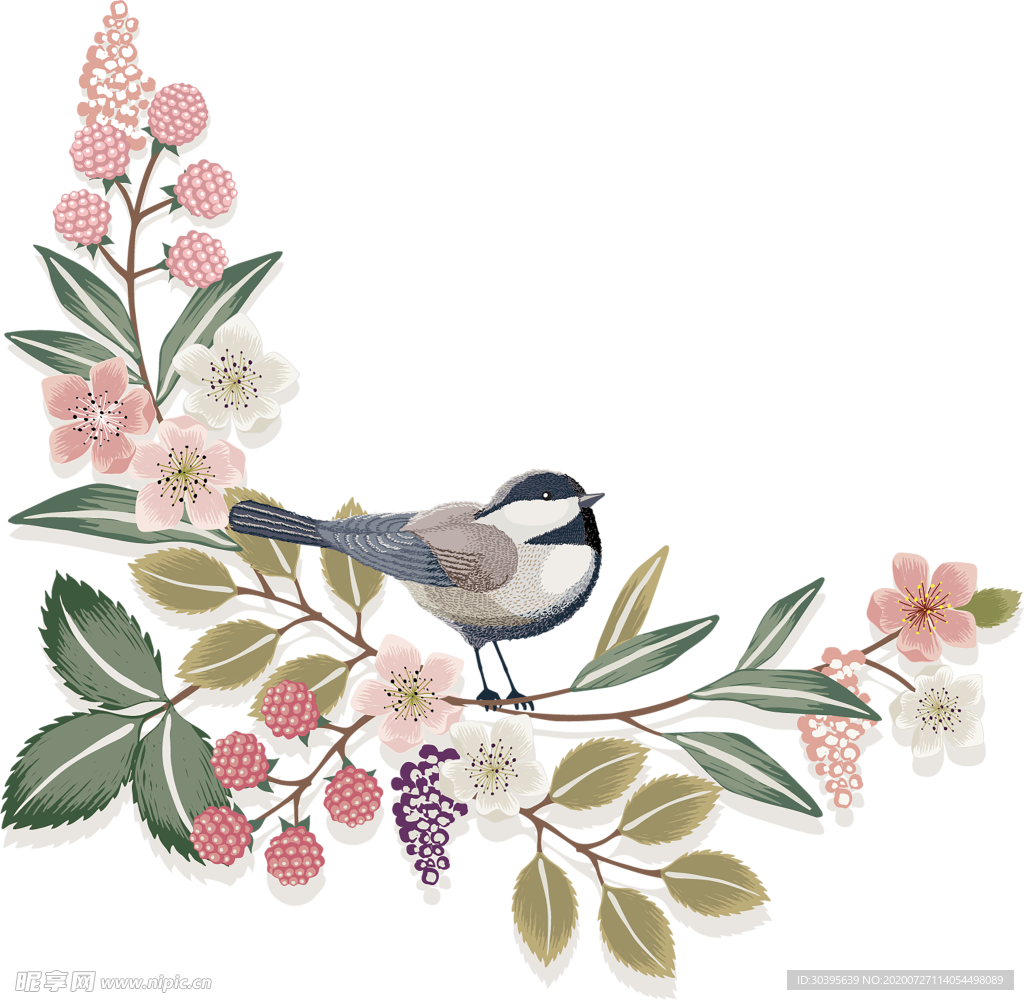 鲜花素材