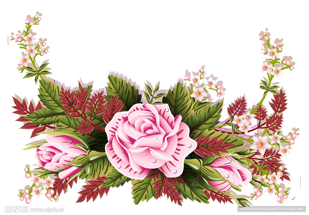 鲜花素材