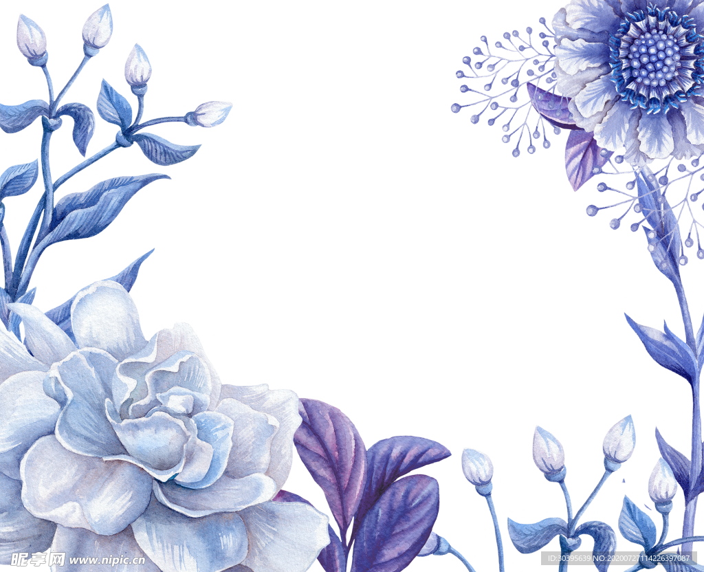 鲜花素材
