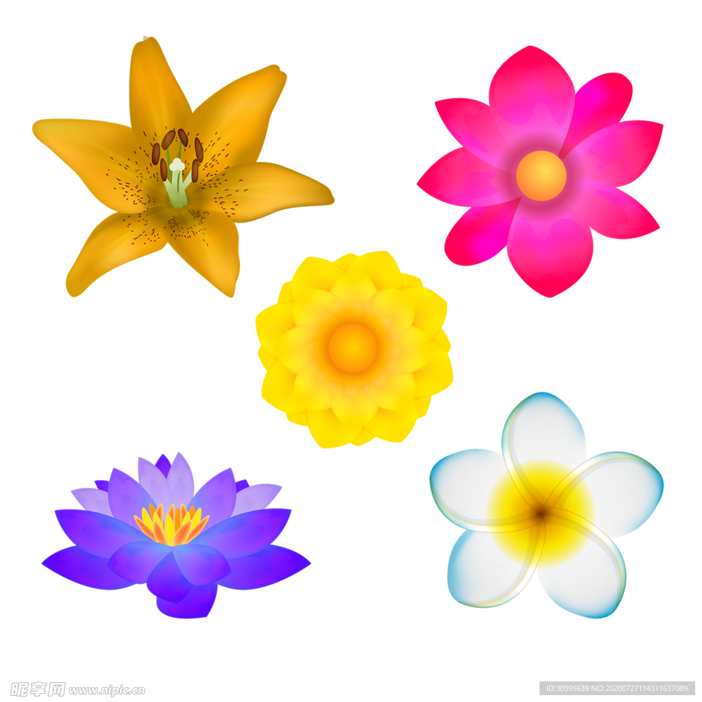 鲜花素材
