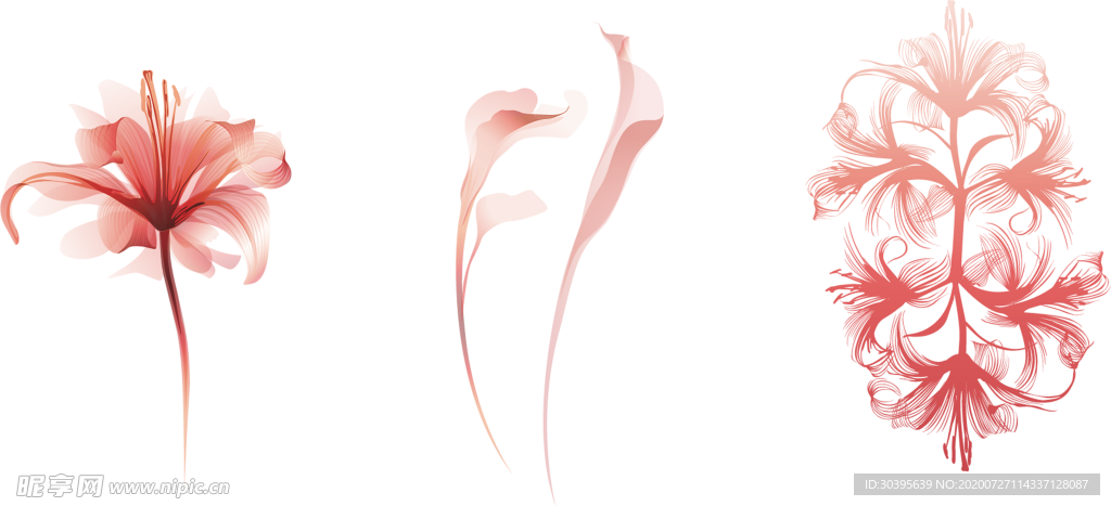 鲜花素材