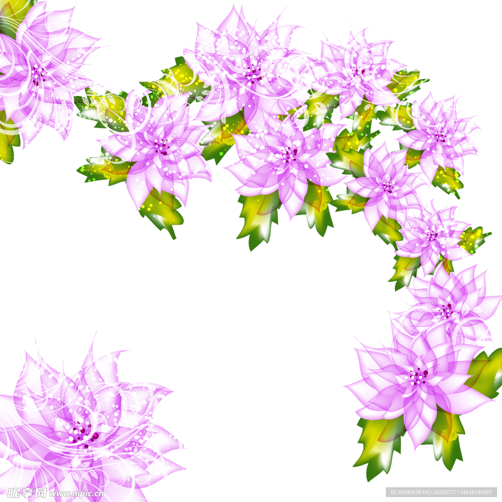 鲜花素材