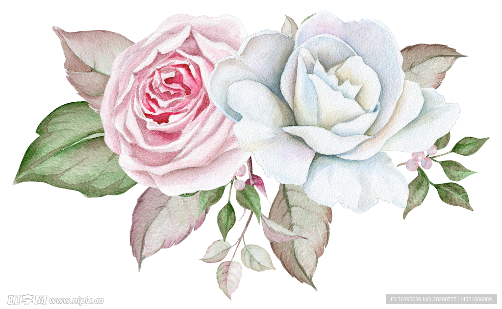 鲜花素材