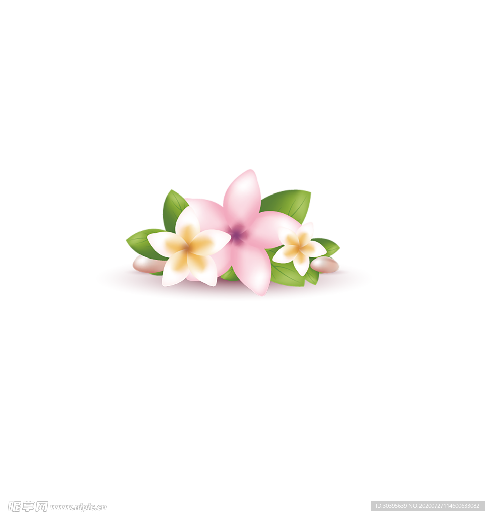 鲜花素材