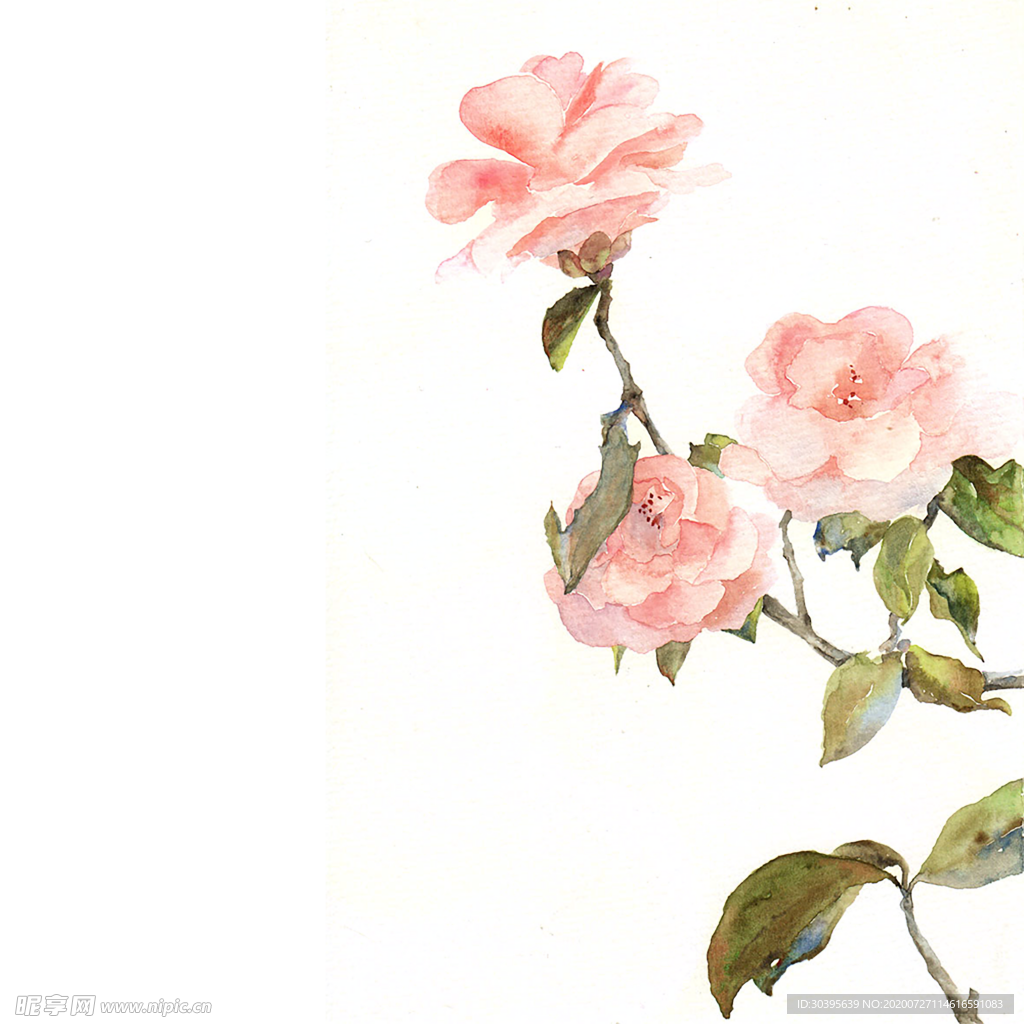鲜花素材