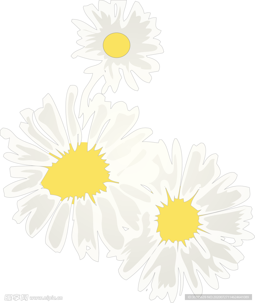 鲜花素材