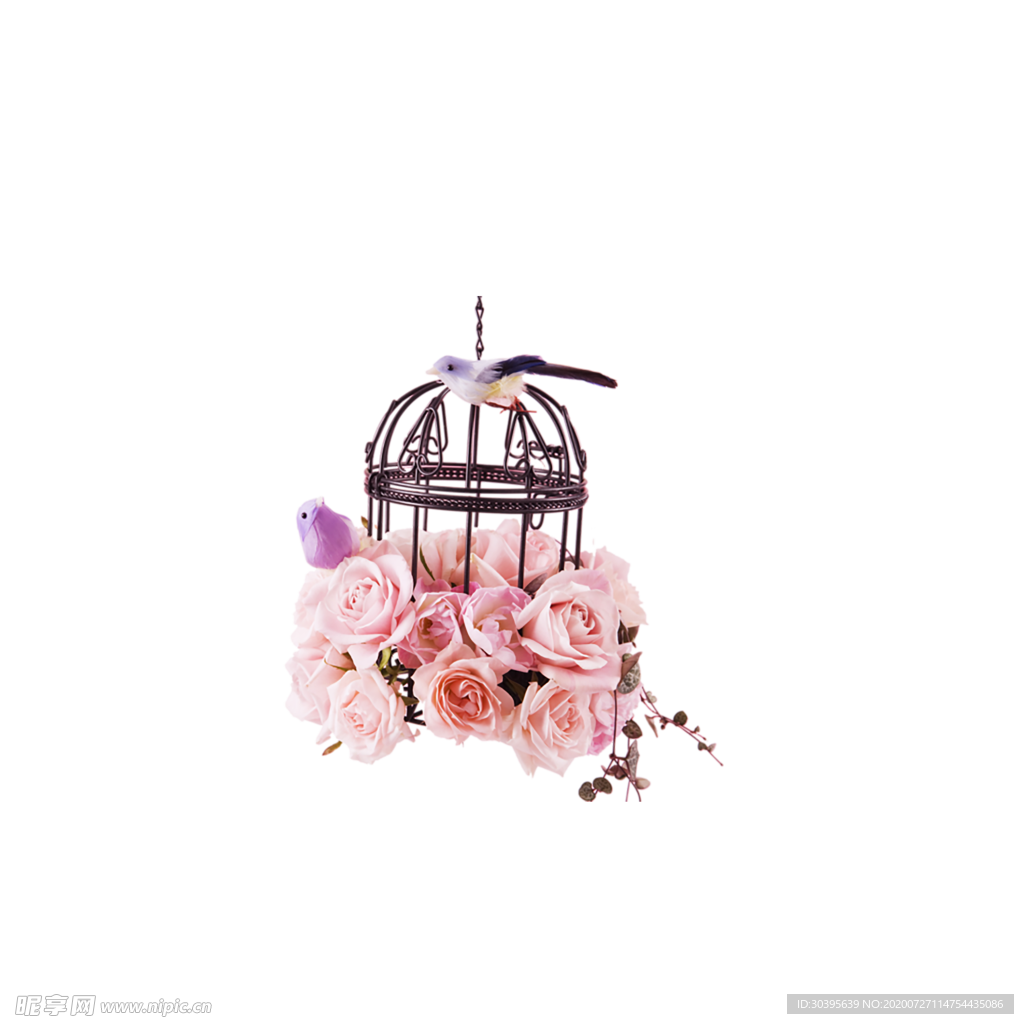 鲜花素材
