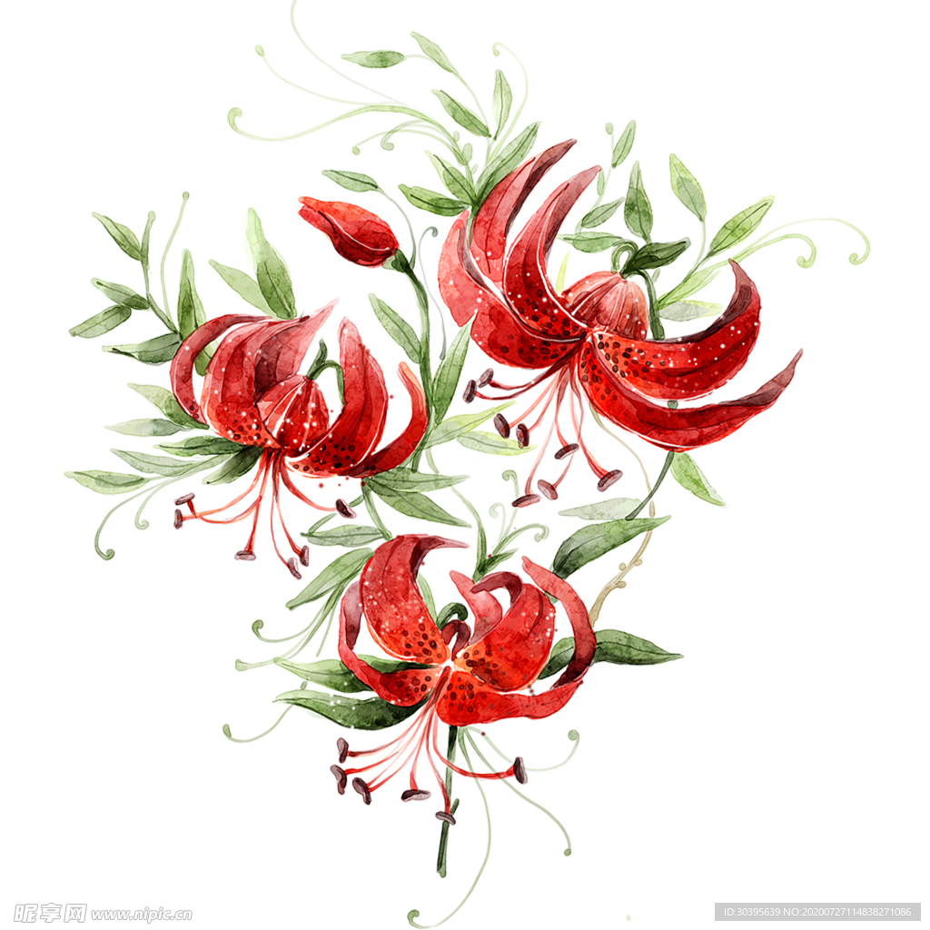 鲜花素材