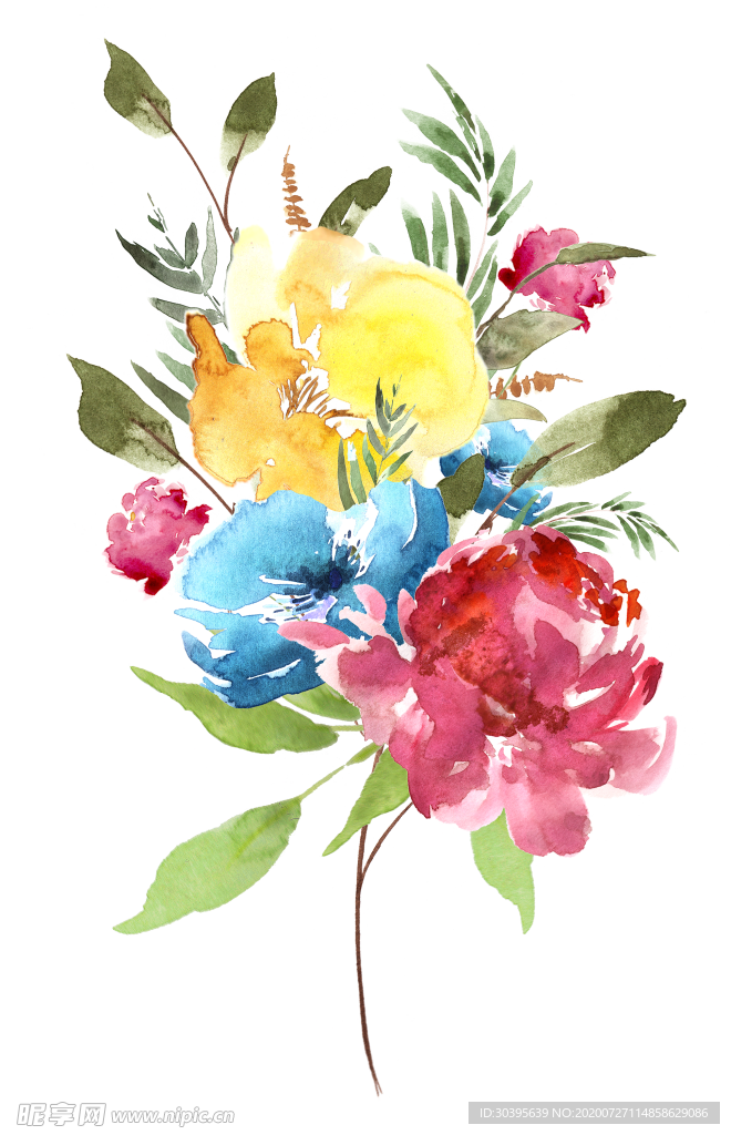 鲜花素材