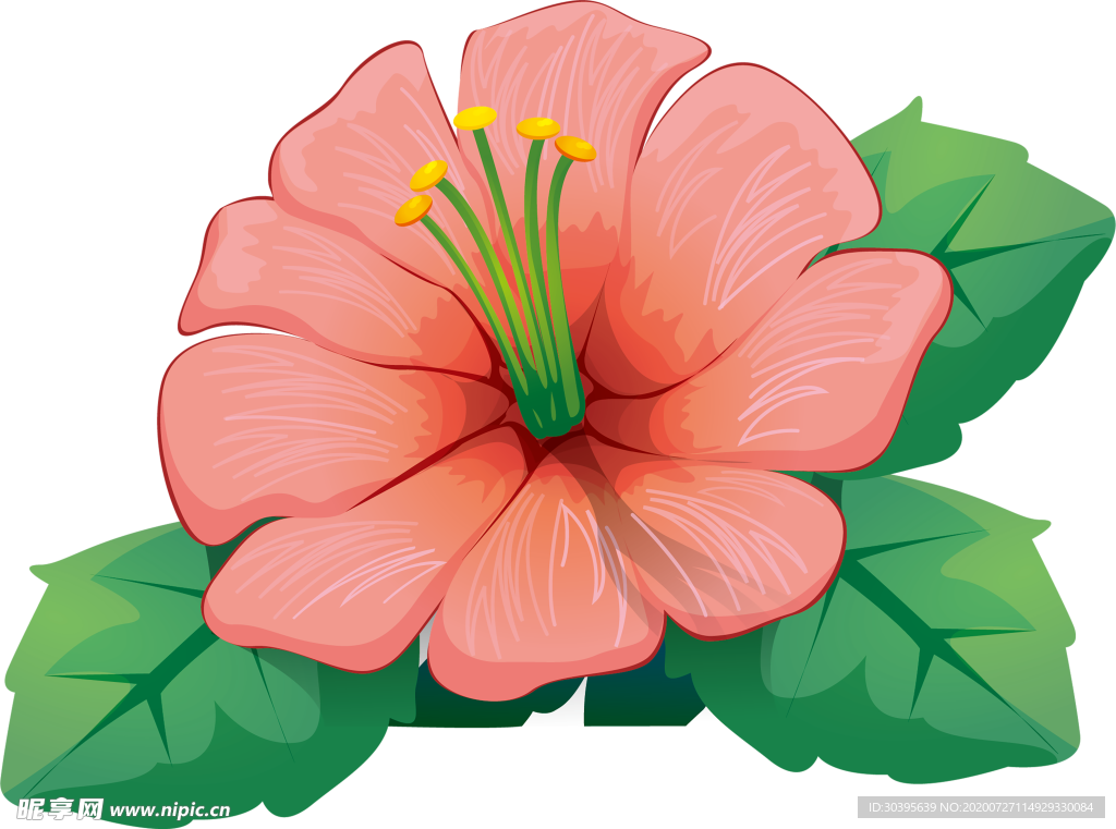 鲜花素材