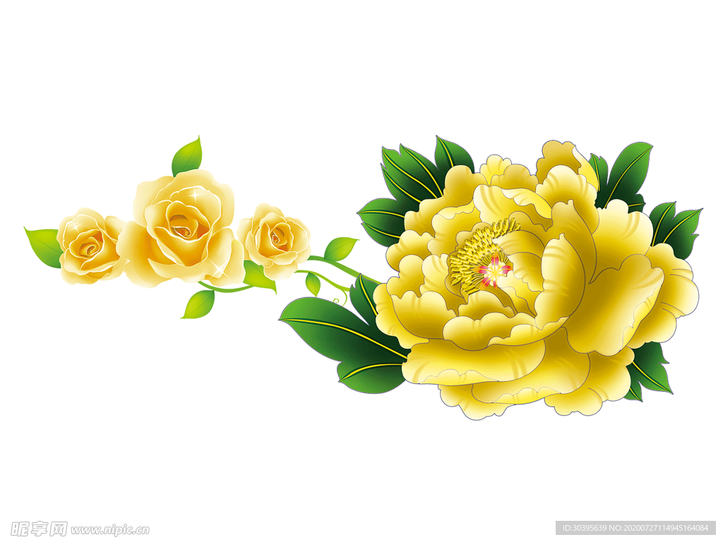 鲜花素材