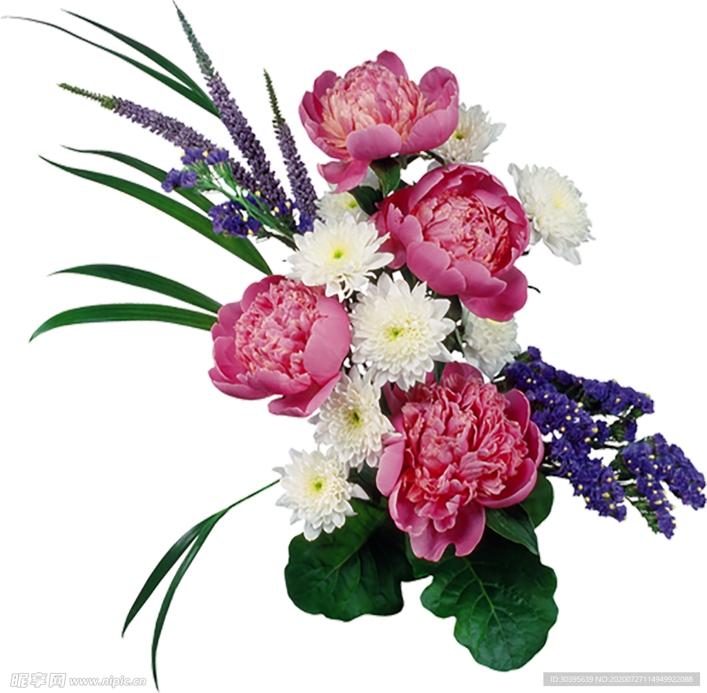 鲜花素材