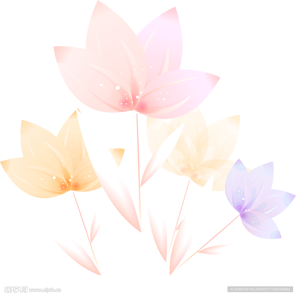 鲜花素材