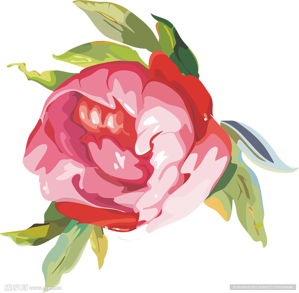 鲜花素材
