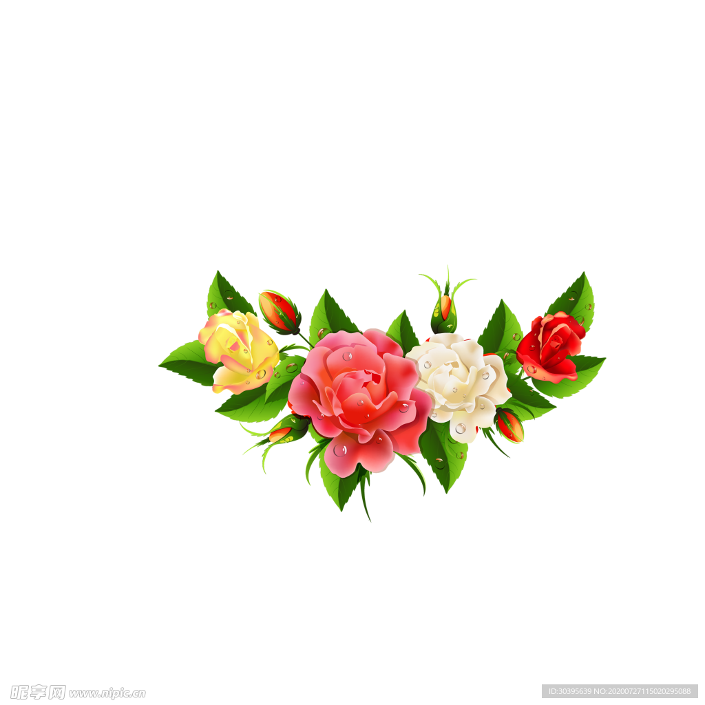 鲜花素材
