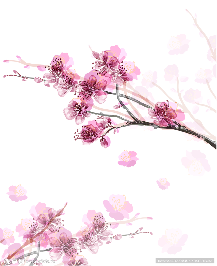 鲜花素材