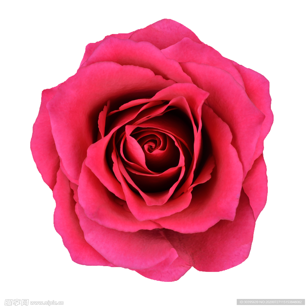 鲜花素材