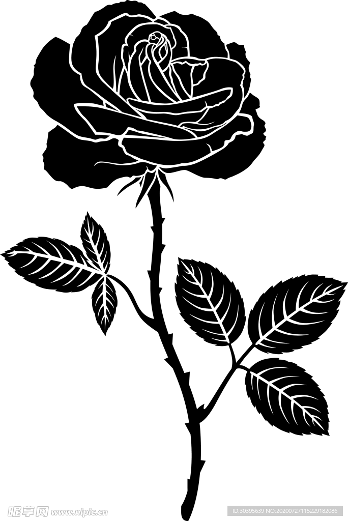 鲜花素材