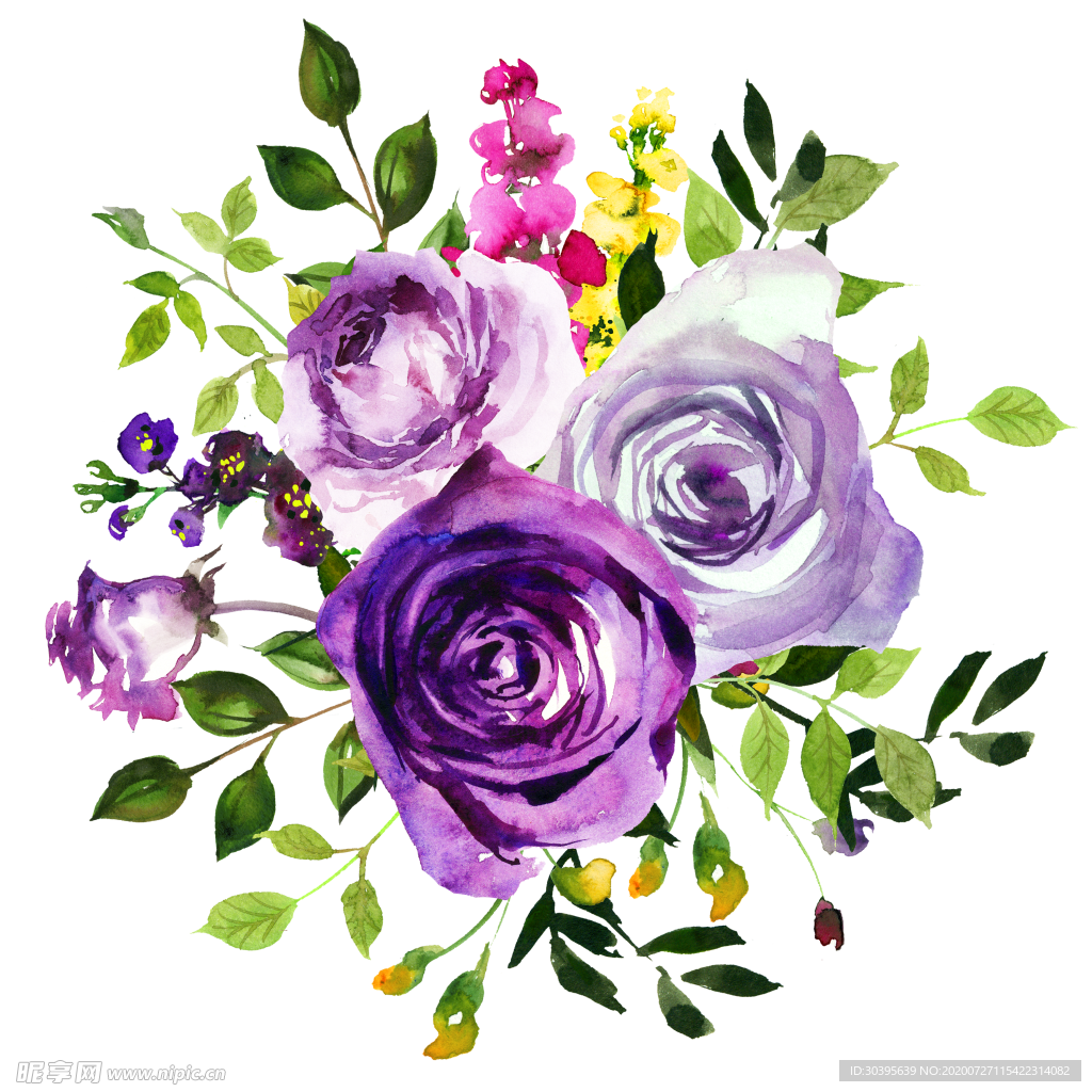 鲜花素材