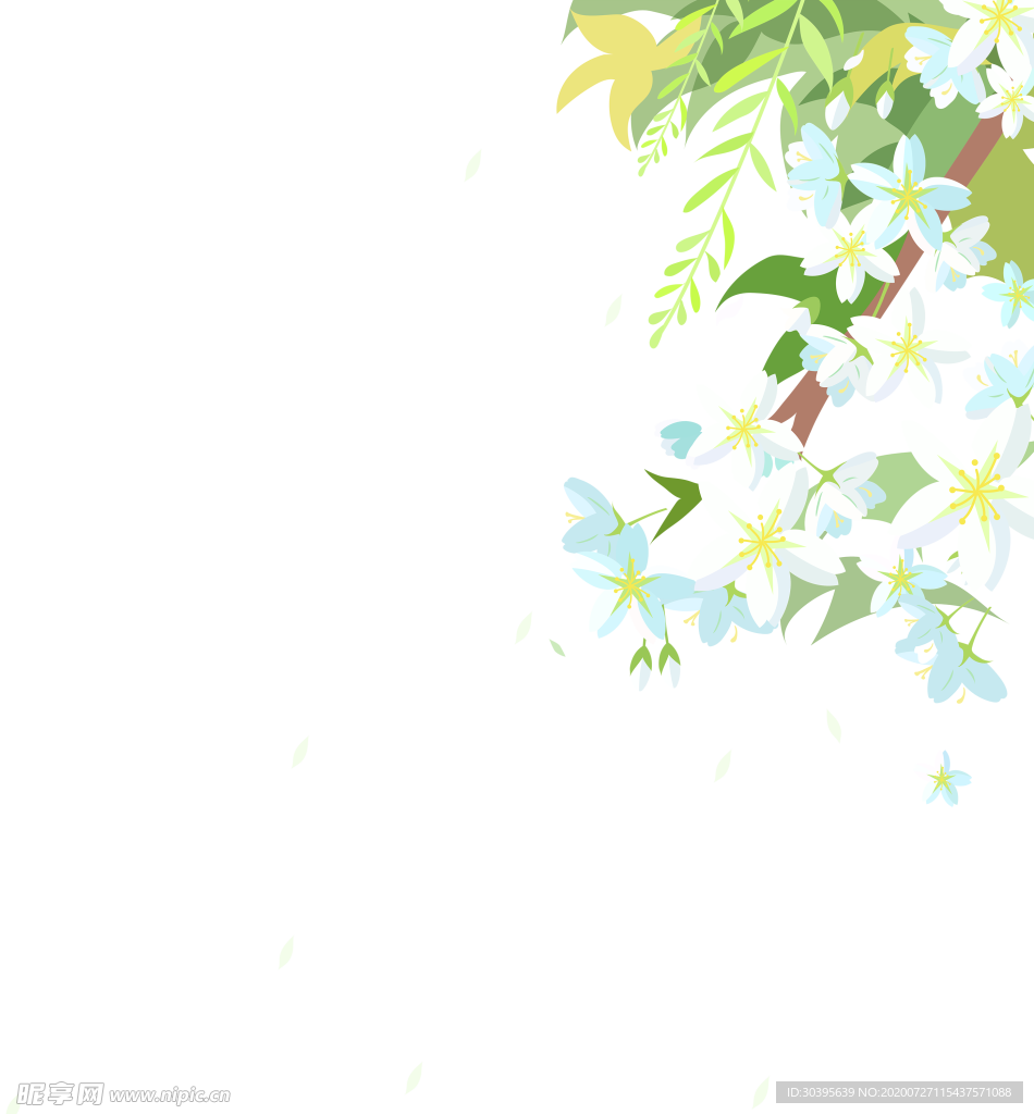 鲜花素材