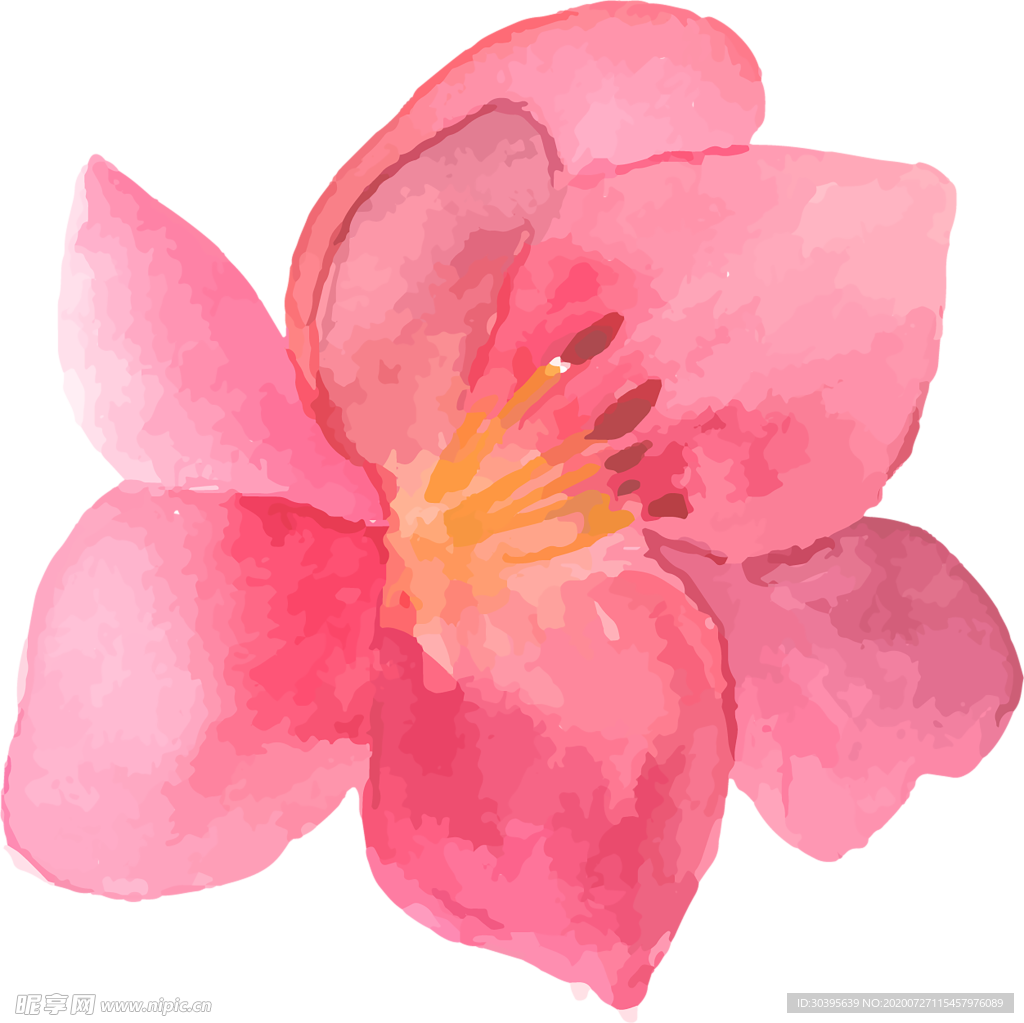 鲜花素材