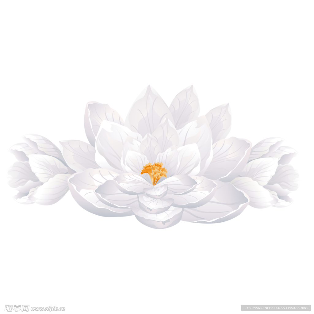 鲜花素材