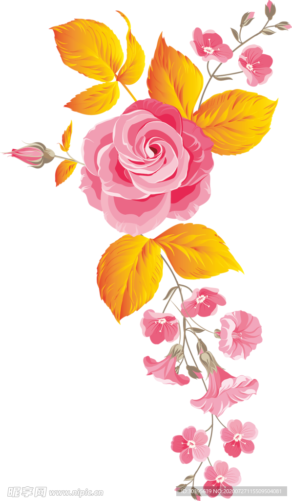 鲜花素材