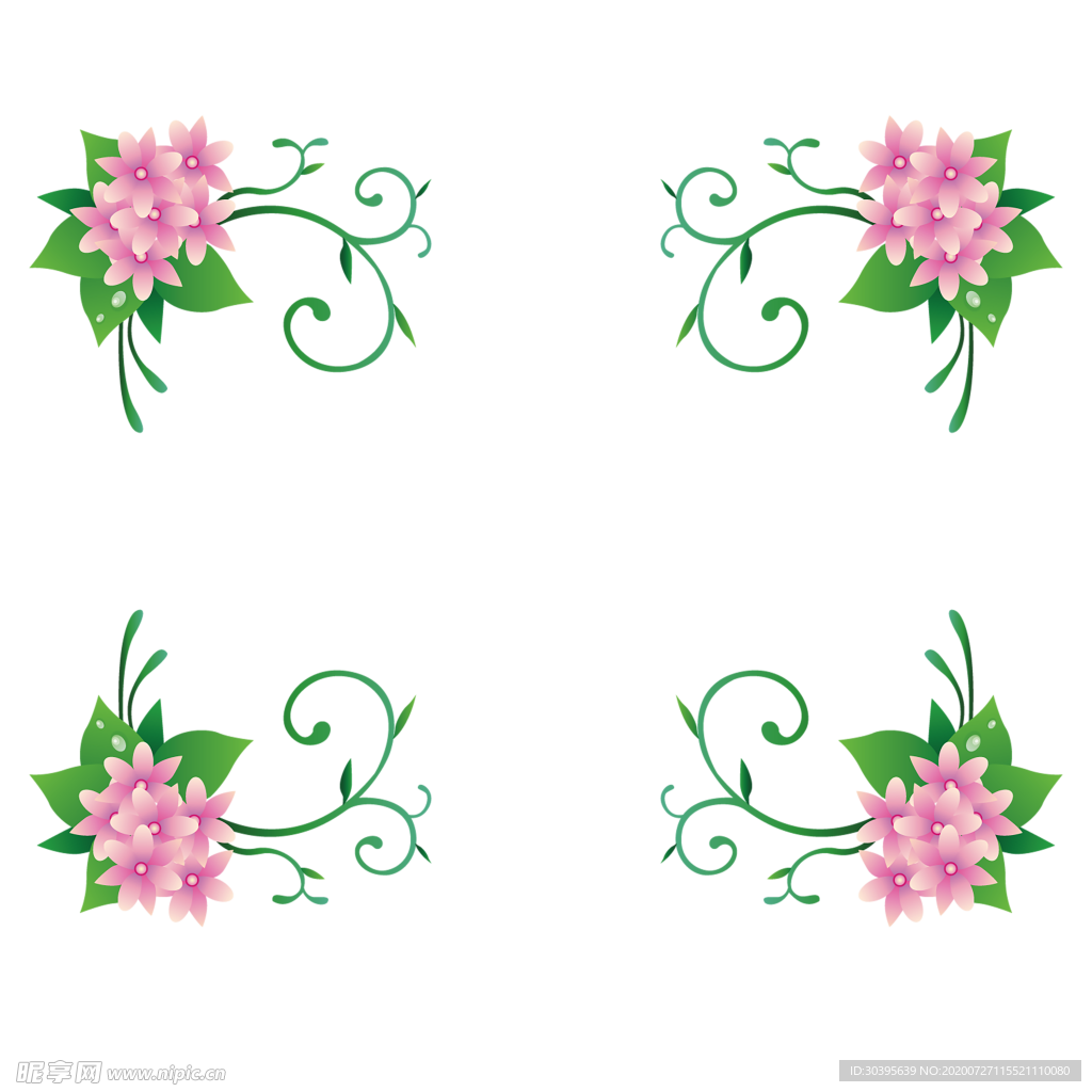 鲜花素材