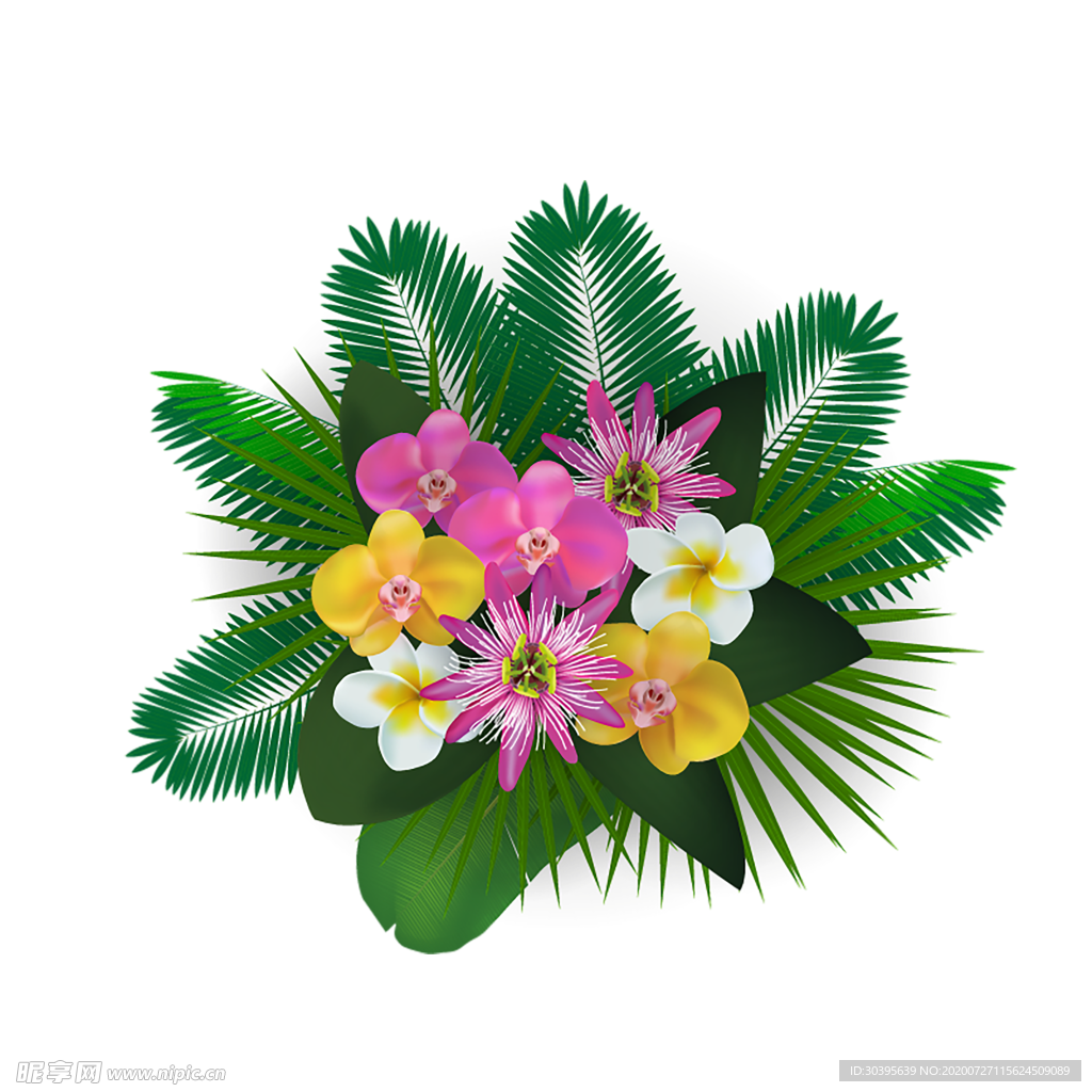 鲜花素材