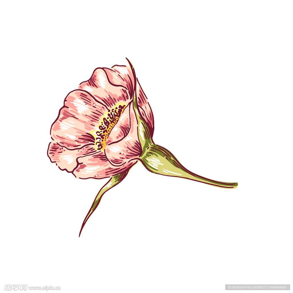 鲜花素材